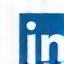 Icona LinkedIn